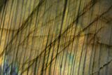 Flashy, Polished Labradorite Palm Stone - Madagascar #142839-2
